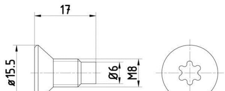 Болт, диск тормозного механизма - HELLA 8DZ 355 209-041