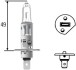 Лампа розжарювання STANDARD H1 12V 55W P14,5s - (030005050011, 1354858, 20004374284) HELLA 8GH002089131 (фото 1)