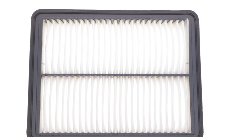 Фото 3 - Воздушный фильтр HENGST FILTER E1204L