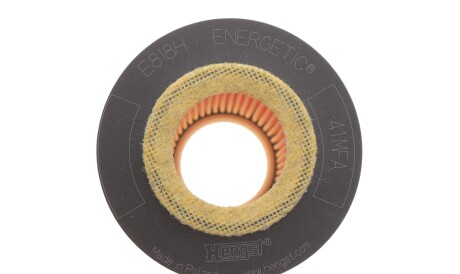 Фото 3 - Масляний фільтр HENGST FILTER E818H D238 (E818HD238)