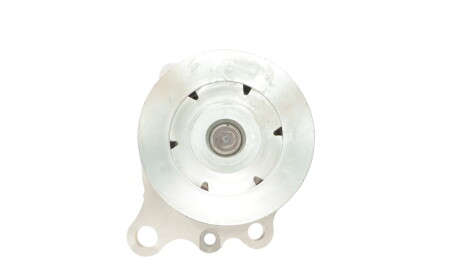 Фото 3 - Водяной насос HEPU DSC_P470 (DSCP470)