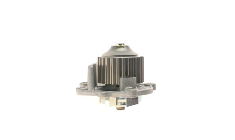 Фото 2 - Водяний насос HEPU P045