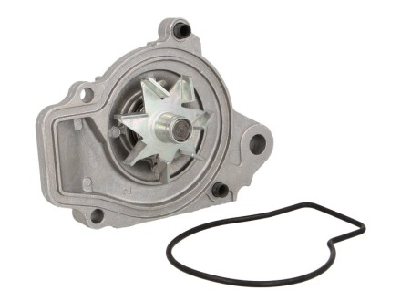 Фото 2 - Водяний насос HEPU P046