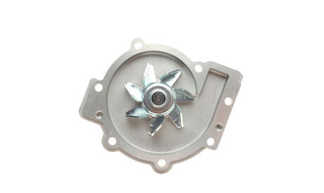 Фото 2 - Водяний насос HEPU P056