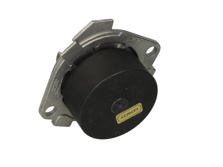 Фото 2 - Водяной насос HEPU P1012