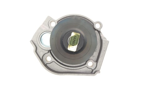 Фото 3 - Водяний насос HEPU P1058