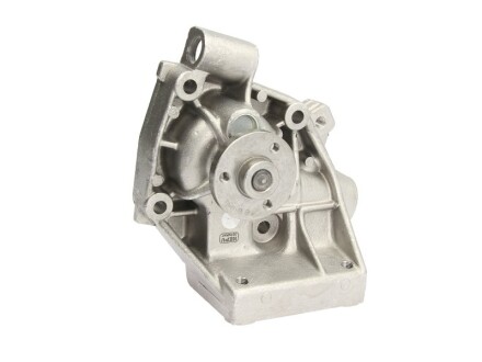 Фото 2 - Водяний насос HEPU P119