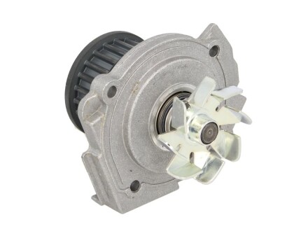 Фото 2 - Водяний насос HEPU P127