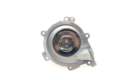 Фото 3 - Водяний насос HEPU P1579