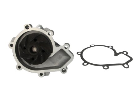 Фото 2 - Водяний насос HEPU P160