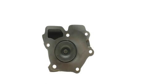 Фото 3 - Водяний насос HEPU P202