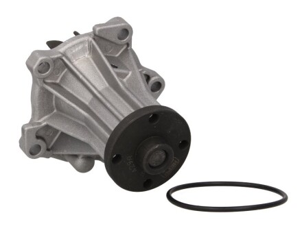 Фото 2 - Водяний насос HEPU P220