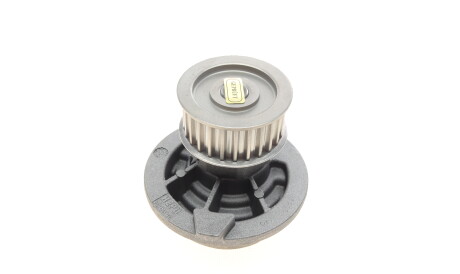 Фото 3 - Водяной насос HEPU P316