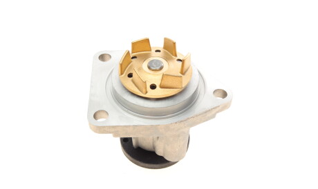 Фото 3 - Водяний насос HEPU P320