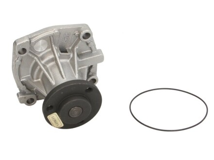 Фото 2 - Водяной насос HEPU P345