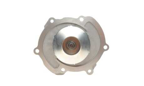 Фото 2 - Водяной насос HEPU P365