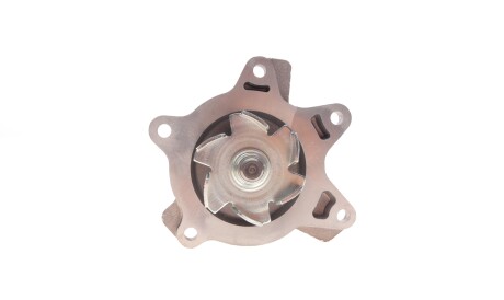 Фото 2 - Водяний насос HEPU P411