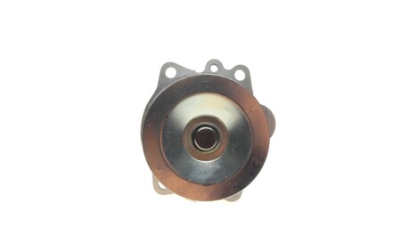 Фото 2 - Водяной насос HEPU P429