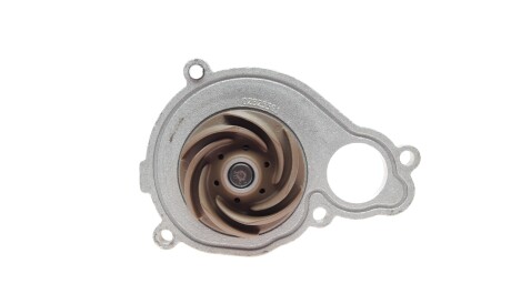 Фото 2 - Водяний насос HEPU P439