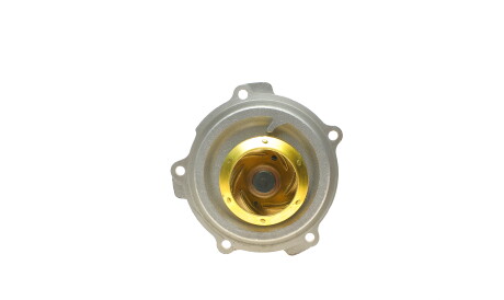 Фото 2 - Водяний насос HEPU P542