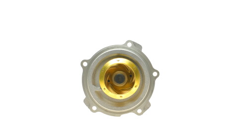 Фото 8 - Водяний насос HEPU P542