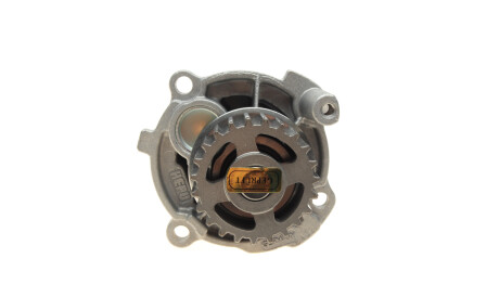 Фото 2 - Водяний насос HEPU P545