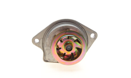 Фото 2 - Водяний насос HEPU P557