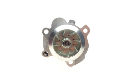 Фото 2 - Водяний насос HEPU P587