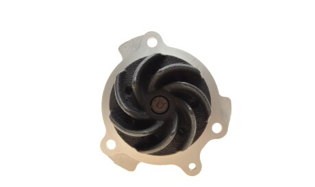 Фото 3 - Водяной насос HEPU P625