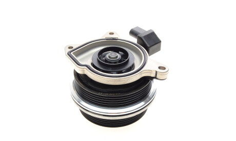 Фото 3 - Водяний насос HEPU P651