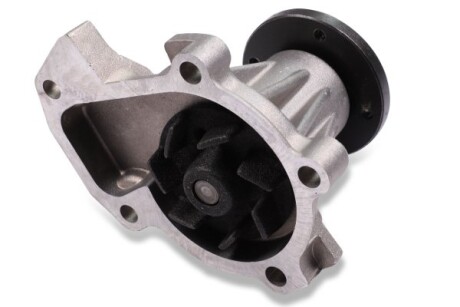 Фото 2 - Водяний насос HEPU P776