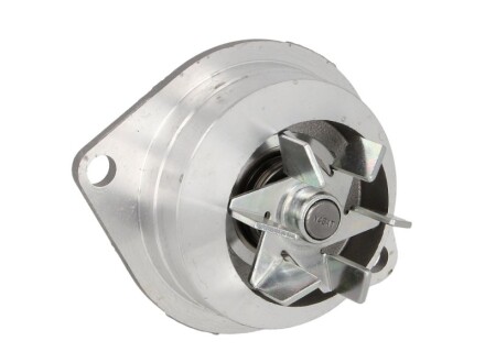 Фото 2 - Водяний насос HEPU P812