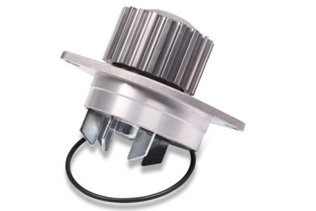 Фото 3 - Водяний насос HEPU P812