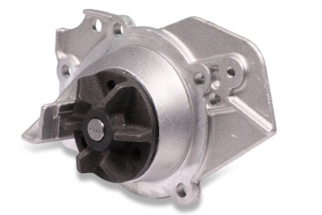 Фото 3 - Водяний насос HEPU P816