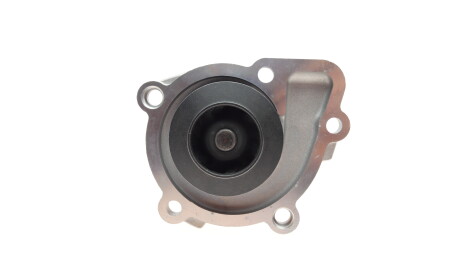 Фото 2 - Водяний насос HEPU P901