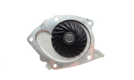 Фото 3 - Водяний насос HEPU P966