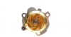 Комплект ГРМ + помпа Skoda Octavia/VW Golf IV 96-10 (150x23) - (06A121011C, 06A121011E, 06A121011EV) HEPU PK05474 (фото 13)