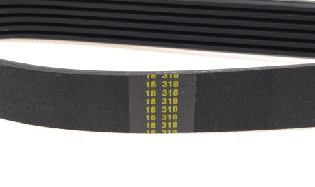 Фото 3 - Ремень приводной HUTCHINSON 1107 K 6 (1107K6)