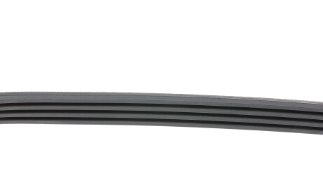 Фото 2 - Ремень приводной HUTCHINSON 1117 SK 4 (1117SK4)