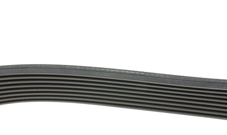 Фото 2 - Ремень приводной HUTCHINSON 1173 K 8 (1173K8)