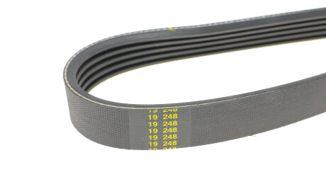 Фото 3 - Ремень приводной HUTCHINSON 1205 K 5 (1205K5)