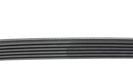 Фото 2 - Ремень приводной HUTCHINSON 1225 KDF 6 (1225KDF6)