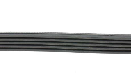 Фото 2 - Ремень приводной HUTCHINSON 1237 K 5 (1237K5)