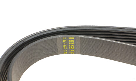 Фото 3 - Ремінь приводний HUTCHINSON 1295 K 6 (1295K6)