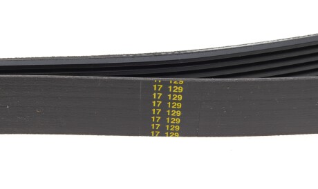 Фото 3 - Ремень приводной HUTCHINSON 1488 K 6 (1488K6)