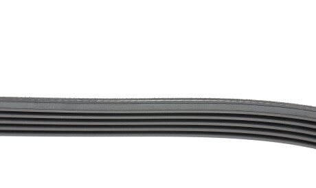 Фото 2 - Ремень приводной HUTCHINSON 1546 K 5 (1546K5)