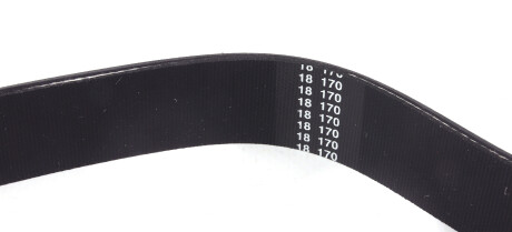 Фото 3 - Ремінь приводний HUTCHINSON 1555 K 6 (1555K6)