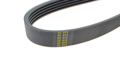 Фото 3 - Ремень приводной HUTCHINSON 1682K5