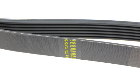 Фото 3 - Ремінь приводний HUTCHINSON 1687 K 6 (1687K6)