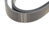 Ремінь генератора 6PK1708 Jumper 1.9TD 94>02 ALT, PS, AC - HUTCHINSON 1705 K 6 (фото 4)